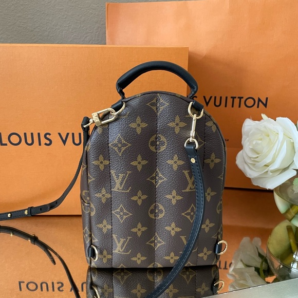 Louis Vuitton Palm Springs Mini - Picture 3 of 16